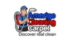 Carpet Cleaning Arlington - Blog