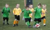 Fun Soccer Game