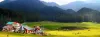 Hill Stations near Delhi | Honeymoon Packages