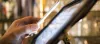 Perangkat lunak POS Omni-channel - Perangkat Lunak Ritel Point of Sale - ETP