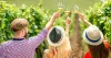 3 Ways to Benefit From a Wine Tour With Friends and Family | Nightcruiser