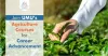 Career and Future Scope of B.Sc in Agriculture in India at Usha Martin University