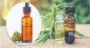 Does CBD Oil Really Help in treating Pain? - TOP BC CANNABIS
