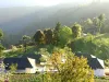 Jayshee Camp Kanatal | Camps in Kanatal | For Booking, Call us@8826291111