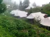 Camp Carnival Kanatal | Camps in Kanatal | For Booking, Call us@8130681111