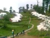 Camp Carnival Kanatal | Best Camps in Kanatal 