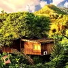 Tree House Resort-Jaipur | Luxury Resorts in Jaipur | Destination Wedding in Jaipur