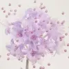  Shop for Decorations and Decorative Items for various occassions Online! - Ashprint London used - Ads Others
