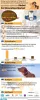 Pet Wearables Market 2019-2025 Analysis by Modern Technologies &amp;