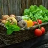  			Boost Your Health By Adding These 5 Foods To Your Diet		