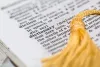 IPS Uni’s Guide: 3 Tips to Improve English Speaking