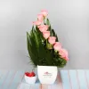 Send Flowers to Chennai | Flower Delivery in Chennai by Online Florist | MyFlowerTree