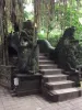 SACRED MONKEY FOREST SANCTUARY  ~ ABHISEKATOUR : BALI EXCELLENT GUIDE DRIVER