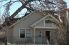 Some Telltale Signs That Your Tree May Be Dying