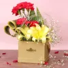 Online Flower Delivery in Delhi | Send Flowers to Delhi @ Rs 399 with #1 Florist | MyFlowerTree