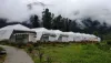 Best Hotels in Barkot