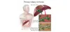 Liver Problems Treatment in Hyderabad | Dr. Kiran Peddi