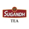Best Tea Brand in India