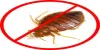 Book Pest Control services Online | Repair Bazar