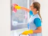 Window Cleaners