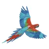 Flying Parrot Embroidery Design | Cre8iveSkill