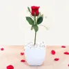 Send Flowers to Gurgaon with #1 Online Florist of Gurgaon | MyFlowerTree