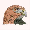 Eagle Face Embroidery Design | Cre8iveSkill
