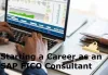 Starting a Career as an SAP FICO Consultant