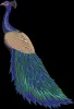 Peacock embroidery pattern for Machine Embroidery | Cre8iveSkill