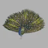 Cre8iveSkill's Beautiful Peacock Machine Embroidery Design