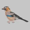 Sparrow Machine Embroidery Design | Cre8iveSkill