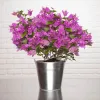 Send Gifts to france Online | Gifts Delivery to france - MyFlowerTree