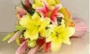 Online Flower Delivery in Hyderabad