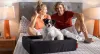 Durable Bed For Pets - Memory Foam Pet Bed - Layla Sleep - Local Business Member Article By Layla Sleep