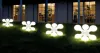 Eco-friendly lighting for your home sweet home