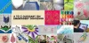 Embroidery Digitizing A to Z Glossary | Cre8iveSkill