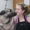  Kennel - Ardmore OK &amp; Gainesville TX | Reigning Cats &amp; Dogs