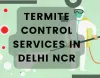Whizolosophy | Termite Control Services In Delhi NCR