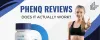 PhenQ Reviews: Fake Or Legit? What Customers Have To Say?
