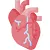 Book Liver Test   Online - Test List, Packages, Price  Max Lab