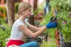 Best Landscape Services in Vancouver Options for 2023