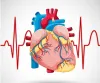 Expert Angioplasty Procedures by Top Cardiologist in Hyderabad-how it is conducted