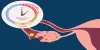  Everything You Need to Know About Ovulation