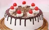 Online Cake Order in Noida | Cake Delivery in Noida - MyFlowerTree