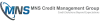 WHAT IS CREDIT OPINION REPORT: MNS Credit Management Group