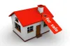 Real Estate Agent Trinity FL