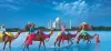 Car Rental Delhi with Driver:Private Car Hire in Delhi with Driver:India 