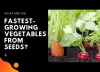 List of fastest-growing vegetables from seeds