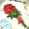 Online Flower Delivery in Delhi | Send Flowers Bouquet - MyFlowerTree