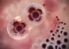 7 Days After Embryo Transfer Symptoms